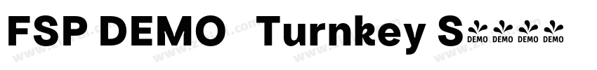 FSP DEMO   Turnkey S字体转换